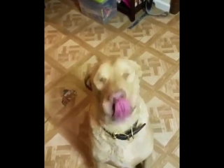 Итс паста тайм