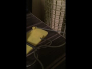 Кек лол орбидол