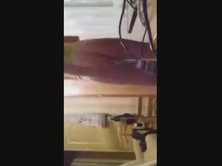Студентки танцуют стриптиз и тверк на вписке periscope