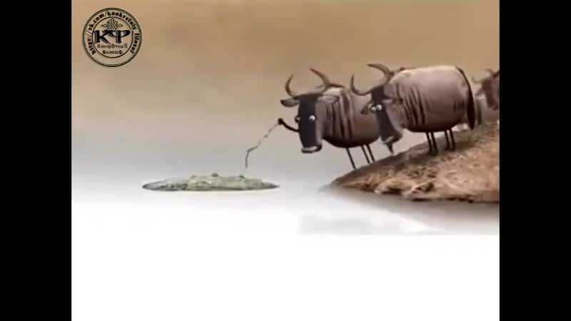 Вывод никогда не спорьте с идиотами