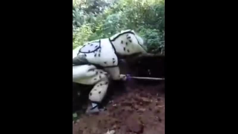 Рано радовался