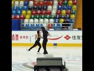 Тесса вертью скотт моир "кармен"