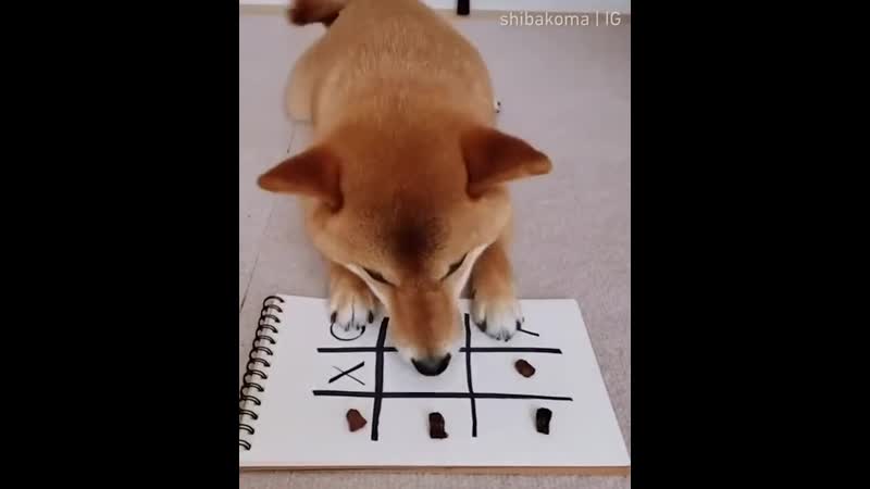 Крестики нолики