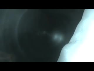 Шлюшка жена любит сосать члены #секс #порно #минет #домашка #sex #porn #blowjob #amateur