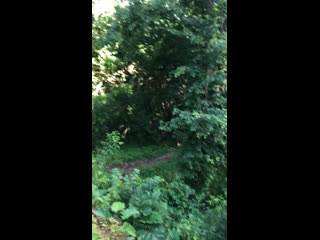 Беготня в парке коломенское