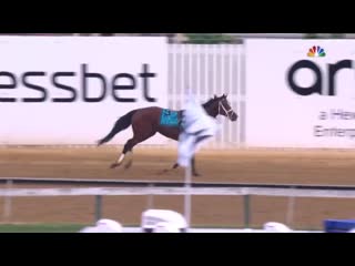 You werent seeing things bodexpress indeed ran sans jockey at the preakness find out more on exactly why