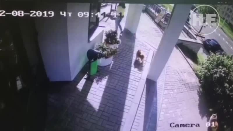 Минчанин преподнёс жене на день рождения неожиданный подарок