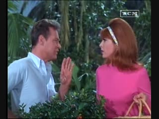 Gilligans island [la isla de gilligan] 1964 2x24 feed the kitty latino tv