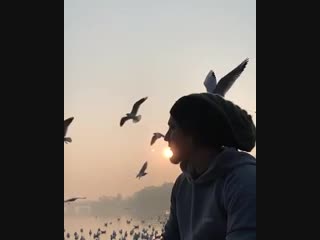 Magical mornings in delhi 😍🐦 mp4