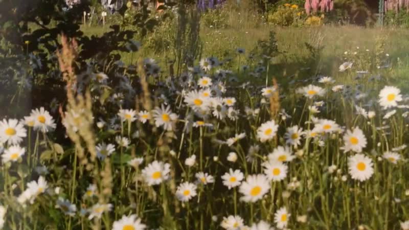 Rina porn video – Botanic garden by rina antonova | 28 06
