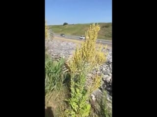 Остановился поссать