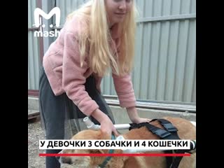 Школьница из уссурийска бесплатно делает инвалидные коляски для молодые