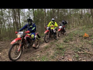 Vietnam motorbike ride on unpaved track and through bamboo forest to a local homestay