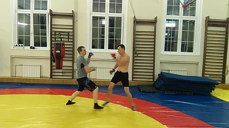 Спортзал бфу зарисои с тренирои