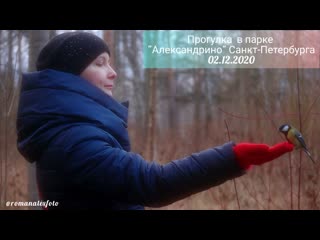 Прогулка в парке "александрино" (fullhd 1080)