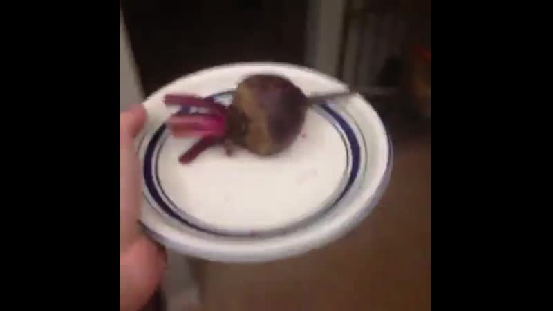 Bring the beet in