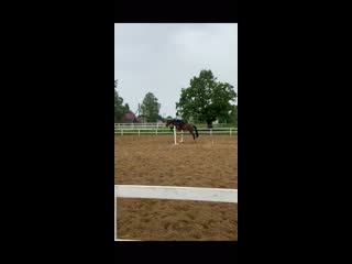 Конкурные тренирои в кск "покровский"