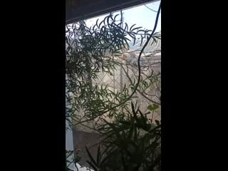 Vid 20201210 120407 mp4