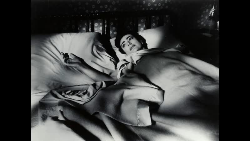 1956 осенние листья / autumn leaves