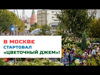 В москве стартовал фестиваль «цветочный джем»