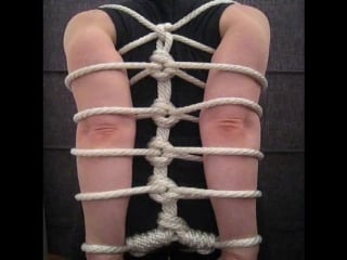 Рукав стрекозы