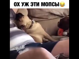 Нажимать должен яяяяяя 😂