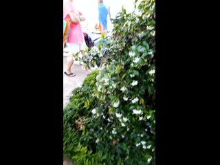 Vid 20190607 162352 mp4