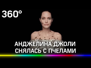 Анджелина джоли снялась с роем пчел