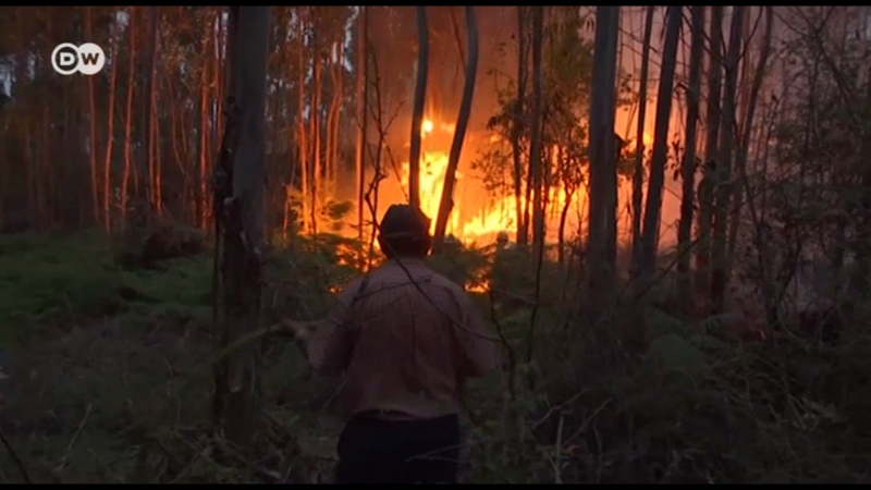 В португалии бушуют пожары