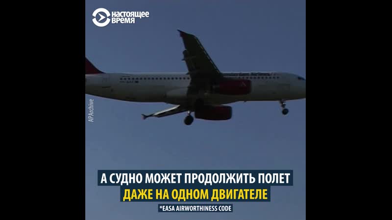 Как в аэропортах мира отпугивают птиц