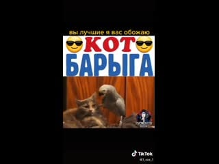 Видео от тихомирова тёмы