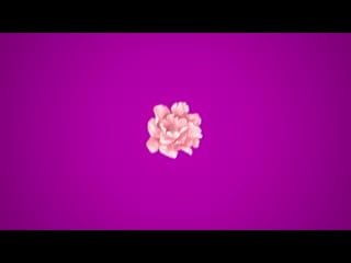 Trap beat | instrumetal | lil pump x smokepurp | "sakura" |