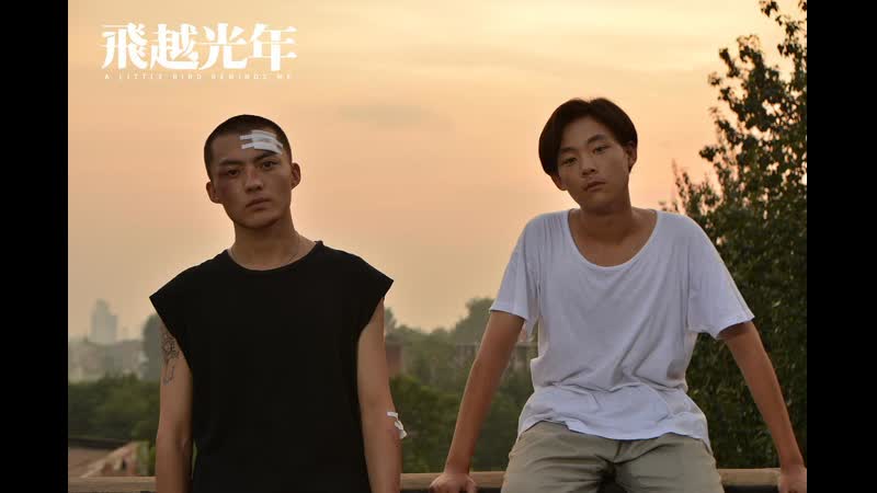 Маленькая птичка напоминает меня (2020) zaijian shaonian (a little bird reminds me)