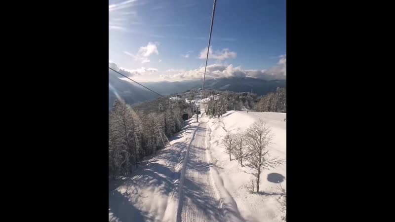 Газпром лаура