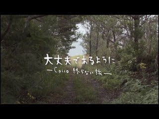 So i can be alright cocco's endless journey / daijôbu de aruyô ni cocco owaranai tabi (2008) dir hirokazu koreeda