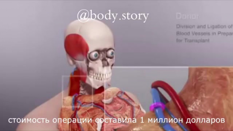 Патрик хардисон пожарный из сша, в одной из схваток с огнем понес поражение на него рухнула крыша здания