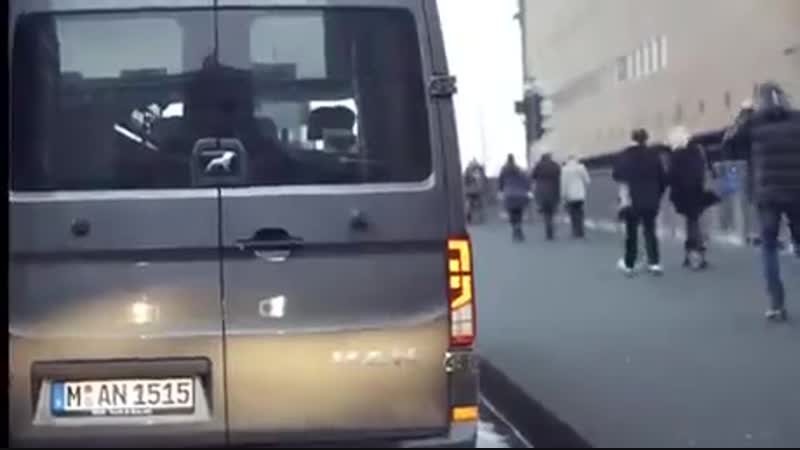 Бодрящий гудок