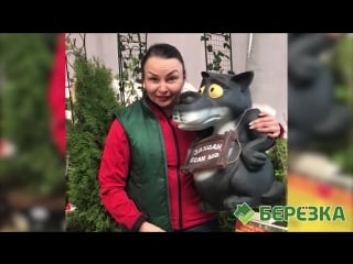 Отдыхаем с берёзкой!