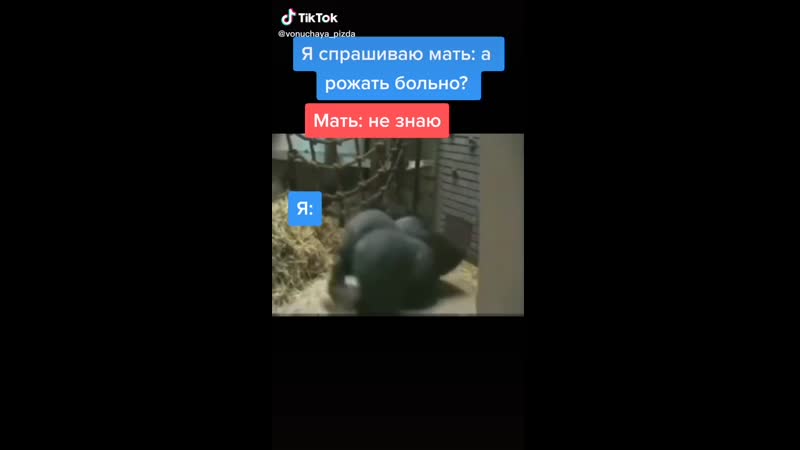 Ебучая горилла флексит