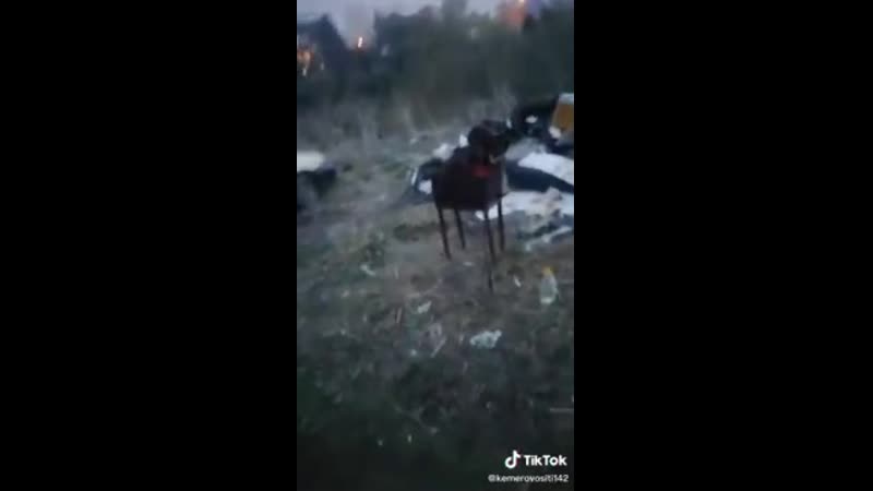 Завидуйте молча