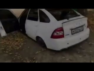 Только у нас самые кайфовые видосы😈