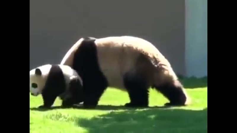 Мам! оставь меня в покое! я так устал с тобой играть