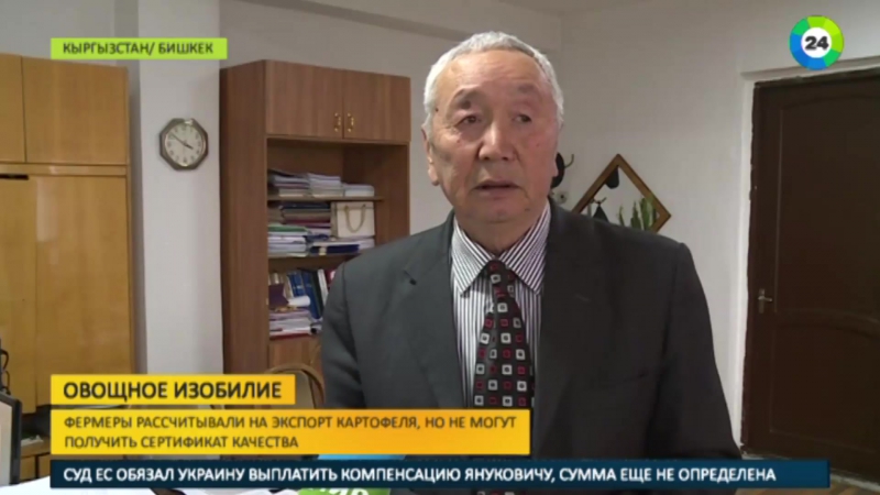 Фермеров кыргызстана разоряет «овощное изобилие»