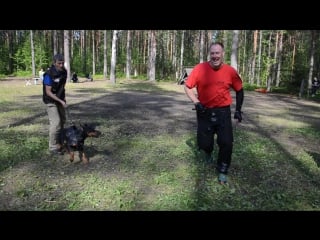 Odri obivan (quint vom edertal arjanne v h wantij )