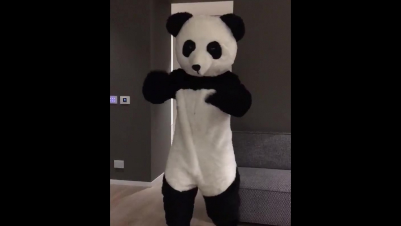 Эвра танцует в костюме панды