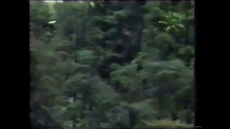 Хищник 2 predator 2 (1990) vhsrip перевод андрей гаврилов