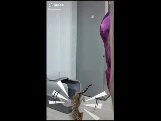 201210 tik tok eunyu