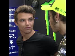 Lando norris