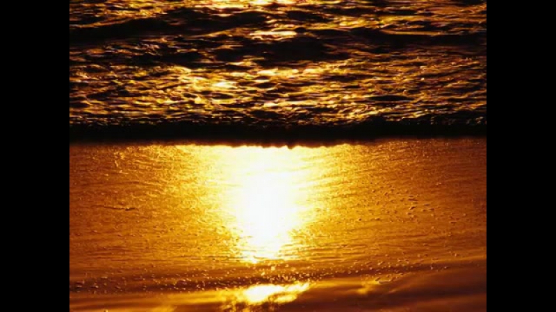 Радуйся всему! преврати обыденное в священное!