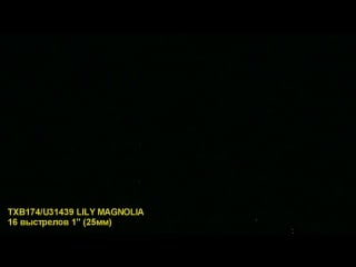 Txb174 u31439 lily magnolia 1400р